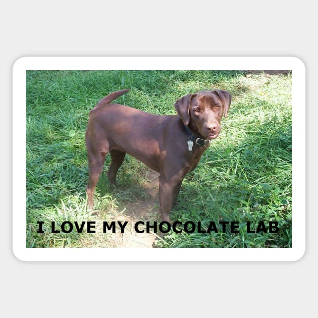 Labrador Retriever Chocolate love with picture Sticker by Wanderingangel